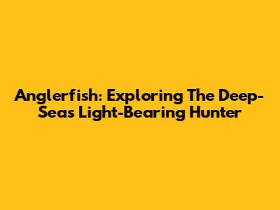 Anglerfish: Exploring The Deep-Sea's Light-Bearing Hunter