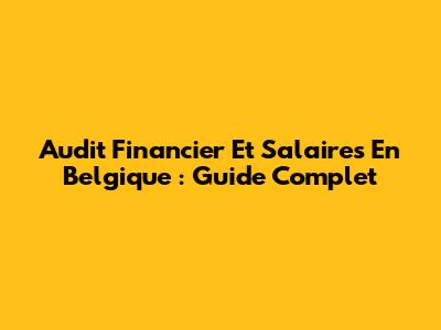 Audit Financier Et Salaires En Belgique : Guide Complet