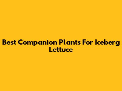 Best Companion Plants For Iceberg Lettuce