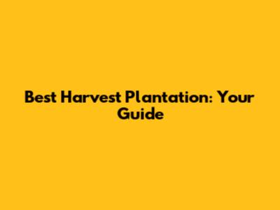 Best Harvest Plantation: Your Guide