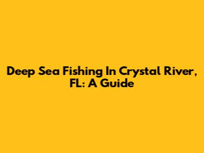 Deep Sea Fishing In Crystal River, FL: A Guide