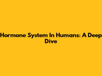 Hormone System In Humans: A Deep Dive