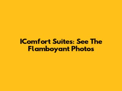 IComfort Suites: See The Flamboyant Photos