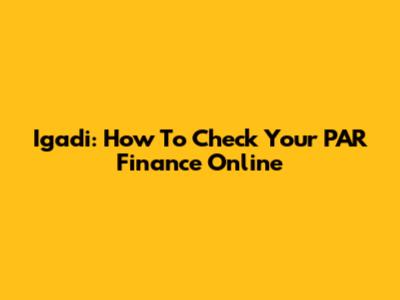 Igadi: How To Check Your PAR Finance Online