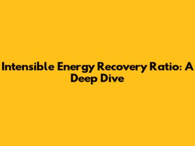 Intensible Energy Recovery Ratio: A Deep Dive