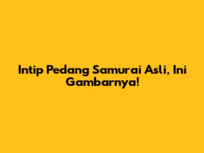 Intip Pedang Samurai Asli, Ini Gambarnya!