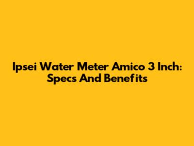 Ipsei Water Meter Amico 3 Inch: Specs And Benefits