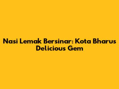 Nasi Lemak Bersinar: Kota Bharu's Delicious Gem