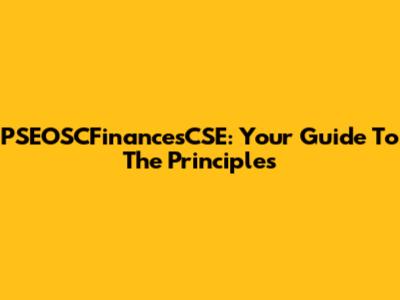 PSEOSCFinancesCSE: Your Guide To The Principles