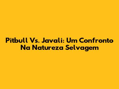 Pitbull Vs. Javali: Um Confronto Na Natureza Selvagem