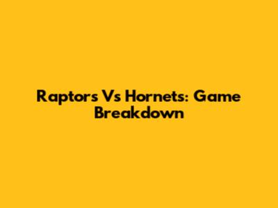 Raptors Vs Hornets: Game Breakdown