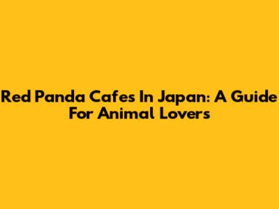 Red Panda Cafes In Japan: A Guide For Animal Lovers