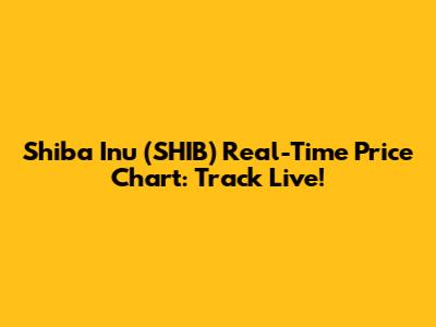 Shiba Inu (SHIB) Real-Time Price Chart: Track Live!