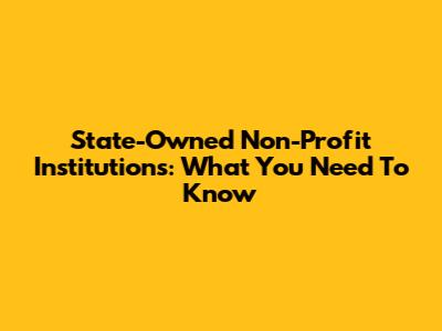 State-Owned Non-Profit Institutions: What You Need To Know