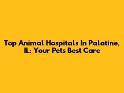 Top Animal Hospitals In Palatine, IL: Your Pet's Best Care