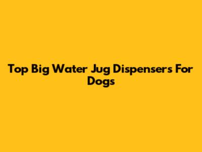 Top Big Water Jug Dispensers For Dogs