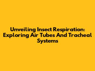 Unveiling Insect Respiration: Exploring Air Tubes And Tracheal Systems