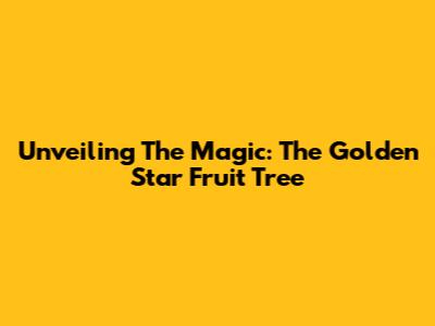 Unveiling The Magic: The Golden Star Fruit Tree